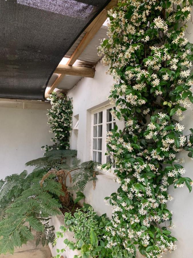 Вилла Shabach Farm Hartebeesrivier Экстерьер фото